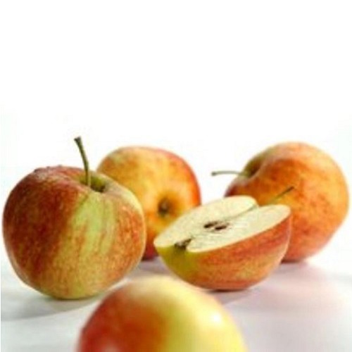 Äpfel 