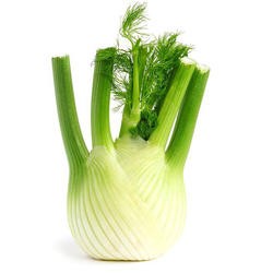 Fenchel circa 400g  mit video