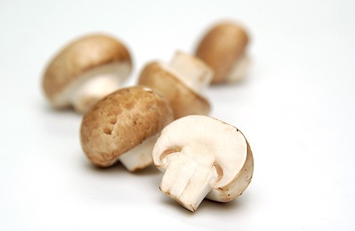 Steinchampignons 400g